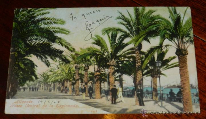 Postais: ANTIGUA POSTAL DE ALICANTE, PASEO CENTRAL DE LA EXPLANADA, N.1, ED. PURGER &amp; CO. 2283, NO CIRCUL