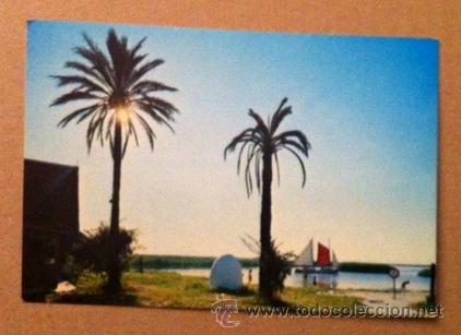 Postales: ALBUFERA - VALENCIA - Foto 1