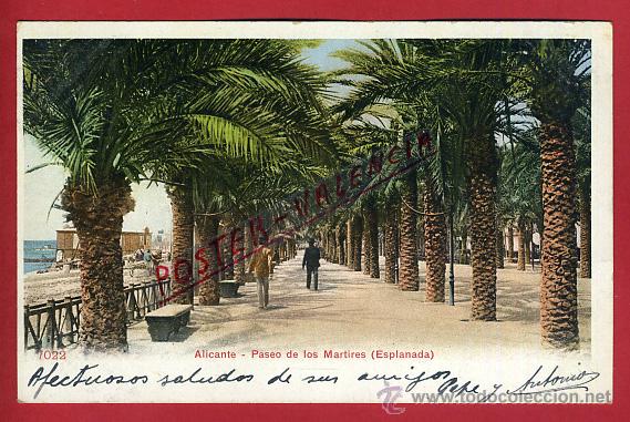 Postais: POSTAL, ALICANTE, PASEO DE LOS MARTIRES, ESPLANADA, P91395