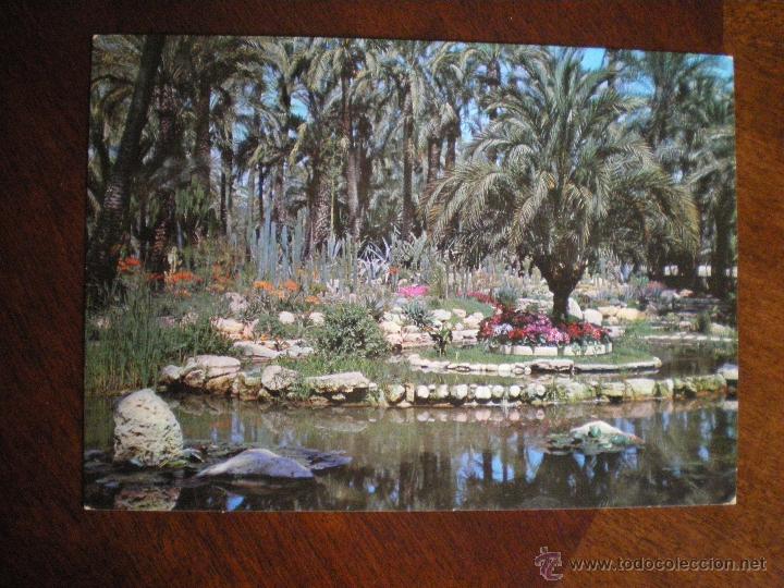 Postales: PARQUE MUNICIPAL DE ELCHE - Foto 1