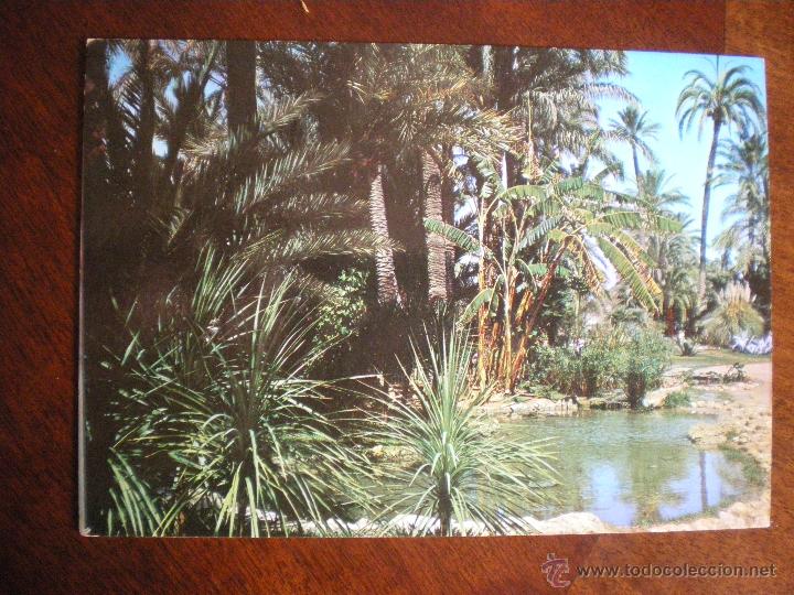 Postales: PARQUE MUNICIPAL DE ELCHE - Foto 1