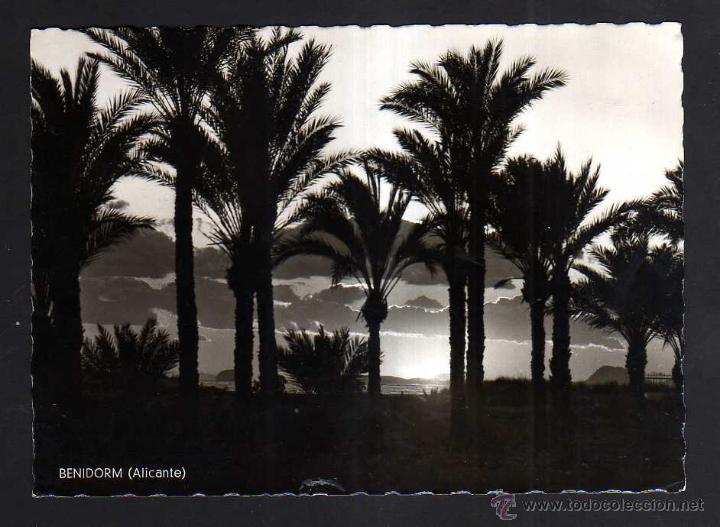 Postales: Benidorm. Circulada 1955. - Foto 1