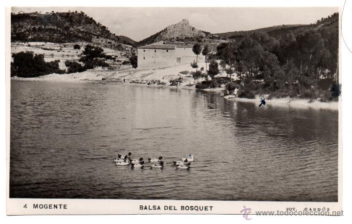 Postkarten: MOGENTE .- BALSA DEL BOSQUET N&ordm; 4 .- FOTO CARD&Oacute;S