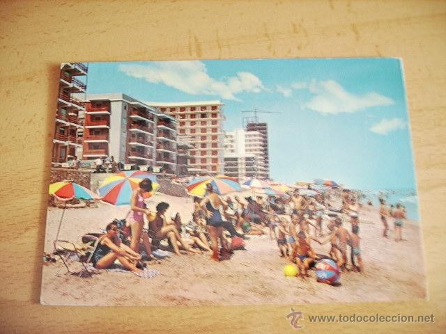 Postales: PALMERETES  ( VALENCIA )  PLAYA - Foto 1