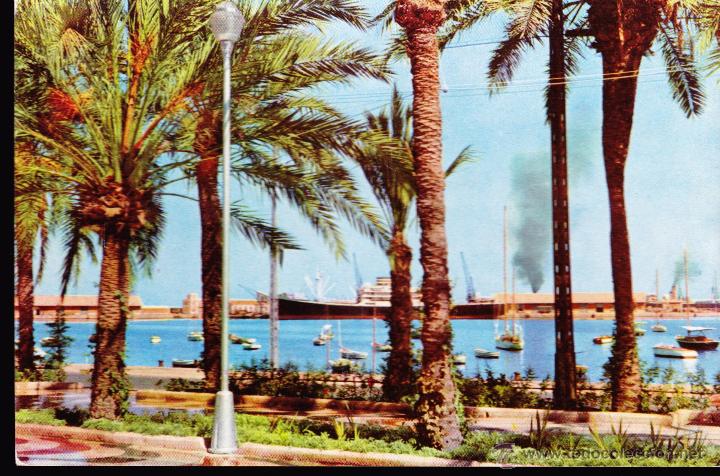 Postales: POSTAL : ESPLANADA Y PUERTO  , ALICANTE .
