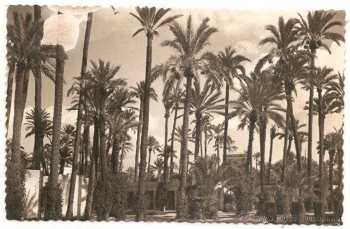 Postales: Elche, postal antigua - Foto 1