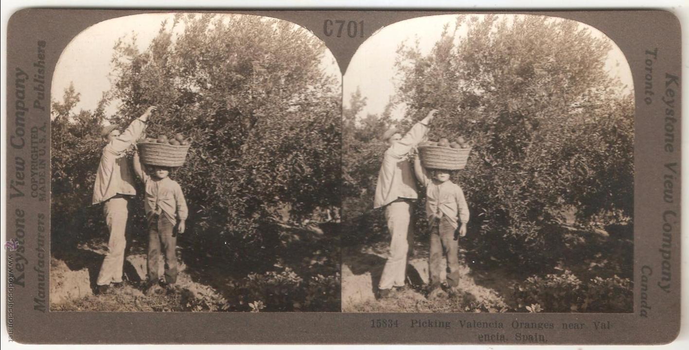 Postales: Recolectando naranjas cerca de Valencia