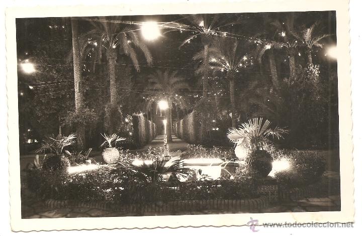 Postales: Elche - Foto 1