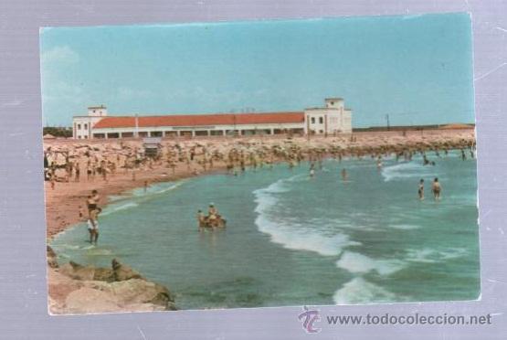 Postcards: TARJETA POSTAL DE BENICARLO, CASTELLON - VISTA GENERAL DE LA PLAYA. 5206. EXCLUSIVA MUCHOLA.