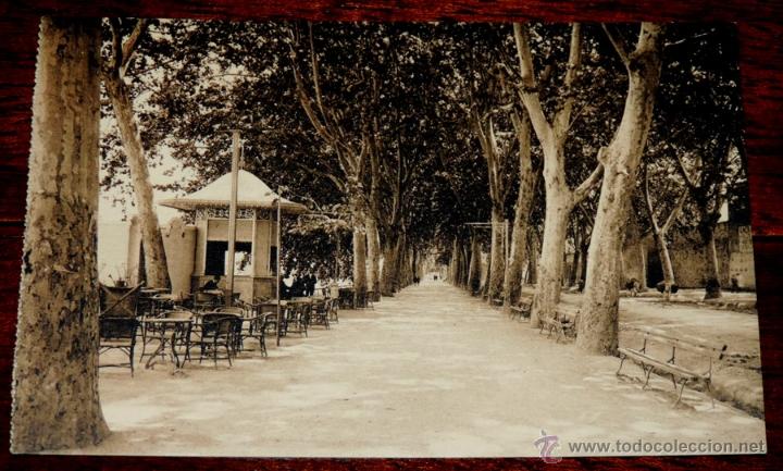 Postcards: POSTAL DE JATIVA - XATIVA - N. 4 - ALAMEDA - ED. L. ROISIN - NO CIRCULADA.