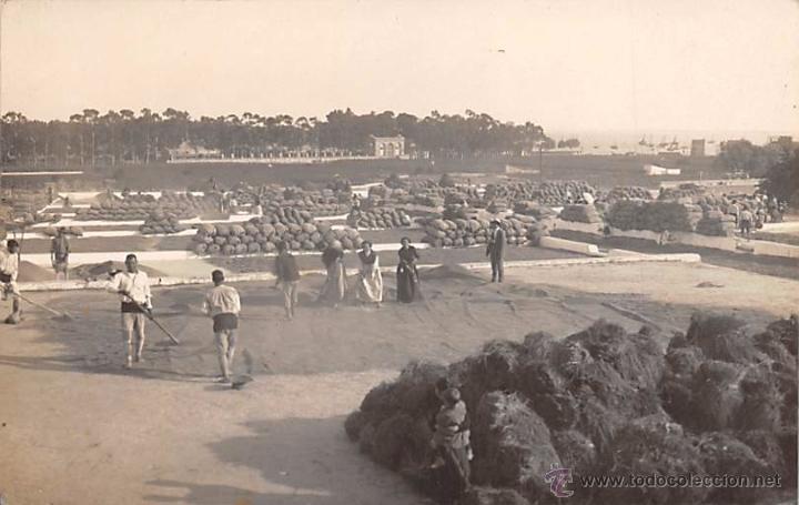 Postales: VALENCIA.- FOTOGR&Aacute;FICA. SECANDO LAS CHUFAS