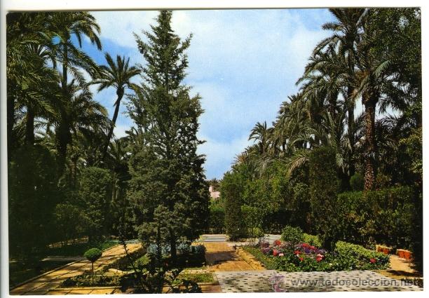 Postkarten: N&ordm; 33 Elche. Huerto del Cura. Detalle. Garc&iacute;a Garrabella y C&iacute;a.