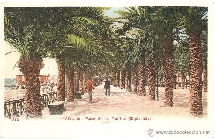 Postales: Alicante Paseo de los M&aacute;rtires