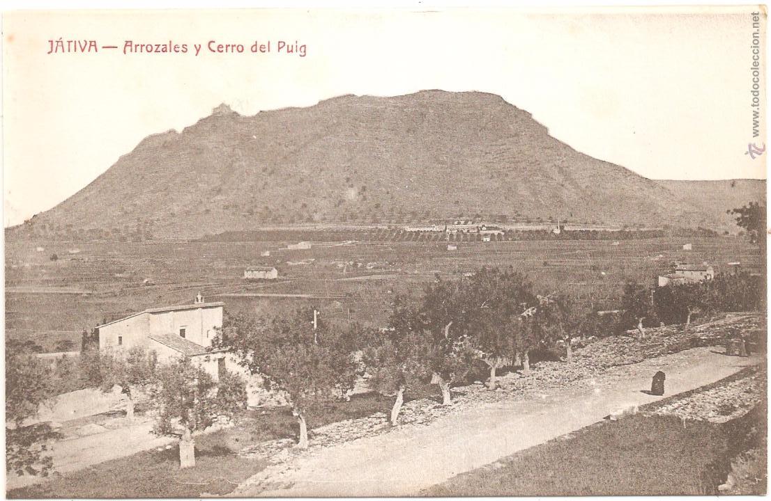 Postales: J&Aacute;TIVA ARROZALES Y CERRO DEL PUIG