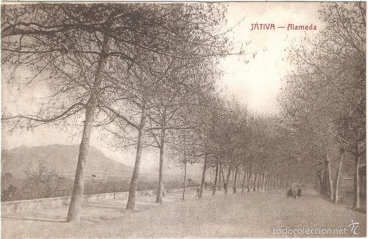 Postales: J&Aacute;TIVA ALAMEDA