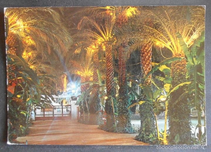 Postcards: (41818)POSTAL SIN CIRCULAR,&ldquo;PARQUE MUNICIPAL&rdquo;,ELCHE/ELX,ALICANTE,COMUNIDAD VALENCIANA