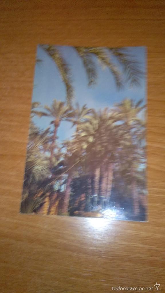 Postcards: POSTAL ELCHE EL UERTO DEL CURA SIN CIRCULAR