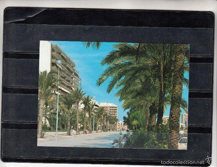 Cartes Postales: 426.- TORREVIEJA. PASEO DE JOSE ANTONIO