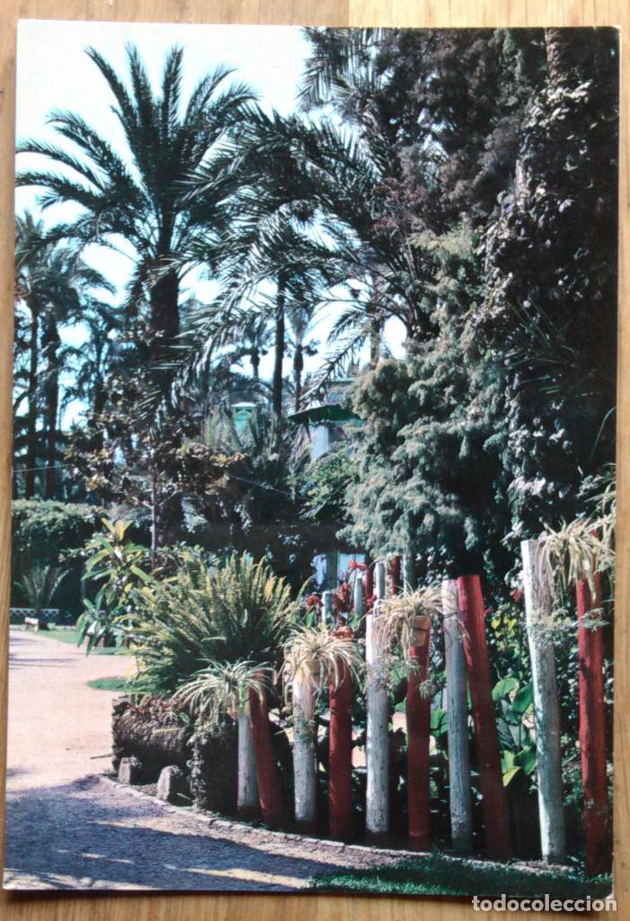 Postales: ELCHE - PARQUE MUNICIPAL - Foto 1