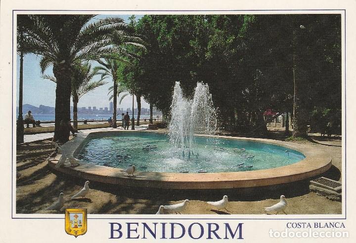 Postales: N&ordm; 27392 POSTAL BENIDORM ALICANTE PARQUE DE ELCHE - Foto 1