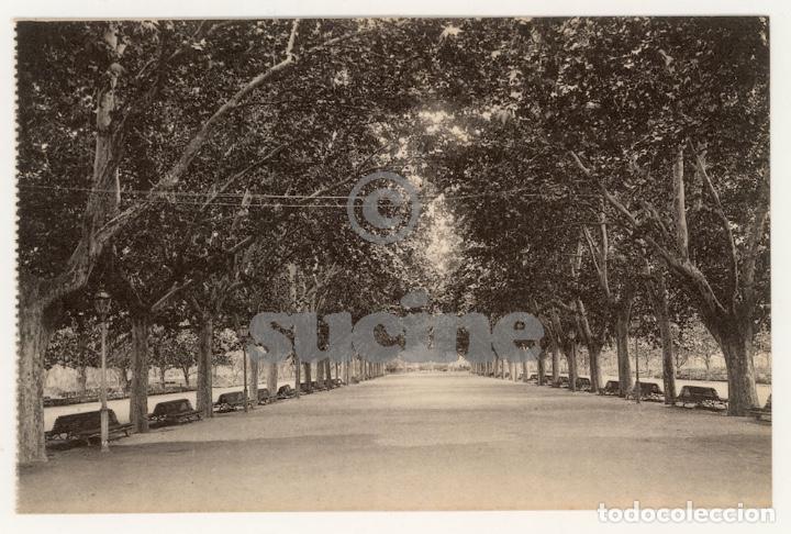 Cartoline: POSTAL  DEL PARQUE DE RIBALTA EN CASTELLON