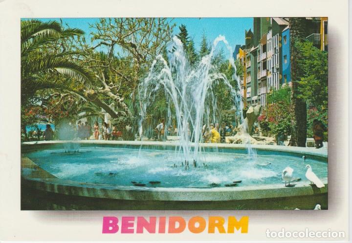 Postales: (12) BENIDORM. PARQUE DE ELCHE - Foto 1