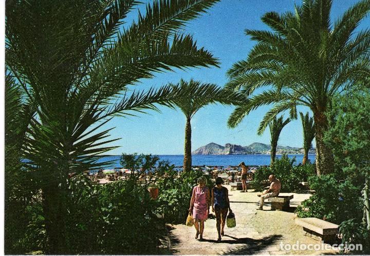 Postcards: POSTAL DE ALICANTE-BENIDORM
