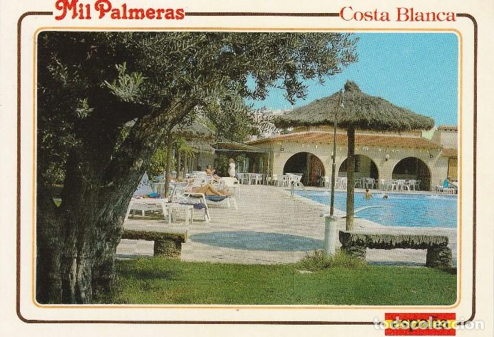 Postkarten: N&ordm; 149 POSTAL PILAR DE HORADADA ALICANTE URBANIZACION MIL PALMERAS