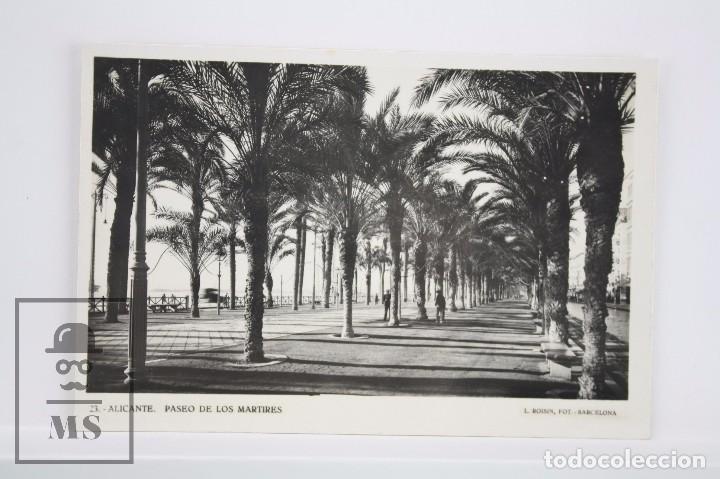 Cartes Postales: Postal Fotogr&aacute;fica - 23. Alicante. Paseo de los M&aacute;rtires - Fot. L. Roisin - Sin Circular