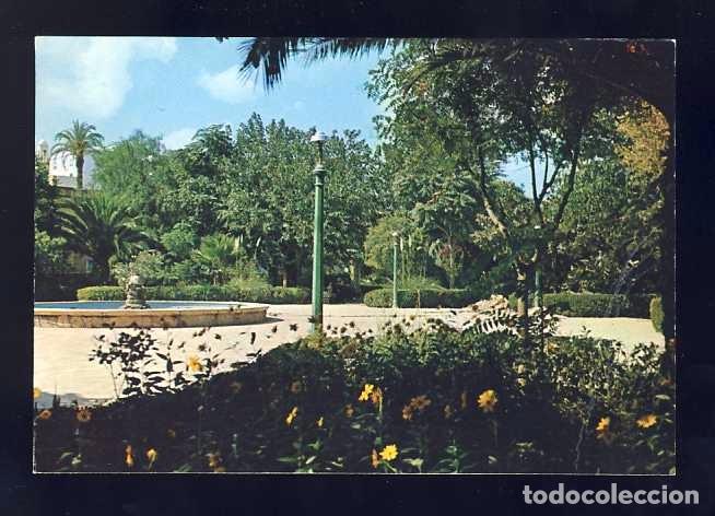Cartes Postales: Postal d' ASP: Parc del Doctor Calatayud (Excl.PAPELERIAS DE ASPE)