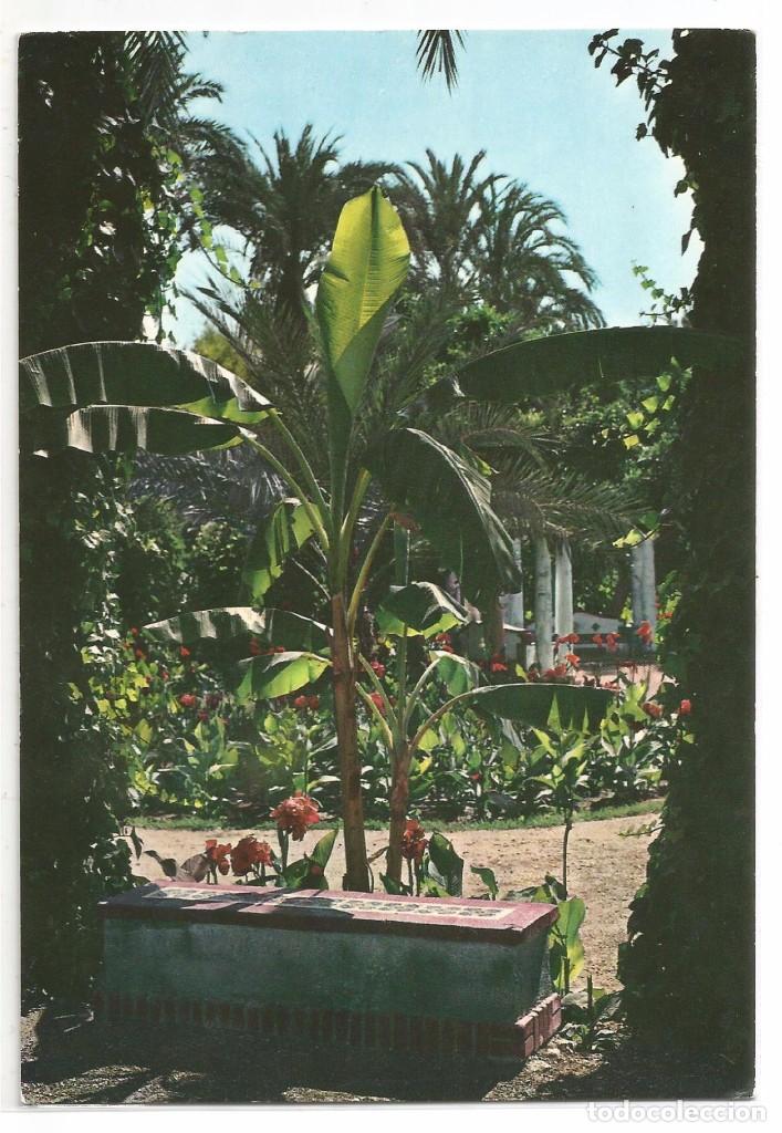 Postais: ELCHE .- PARQUE MUNICIPAL DETALLE .- N&ordm; 22 EDICION GARCIA GARRABELLA