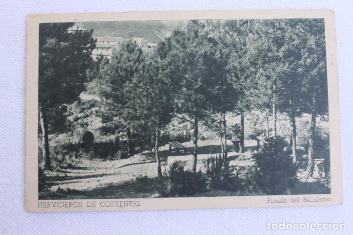 Postais: POSTAL HERVIDEROS DE COFRENTES, PINADA DEL BALNEARIO