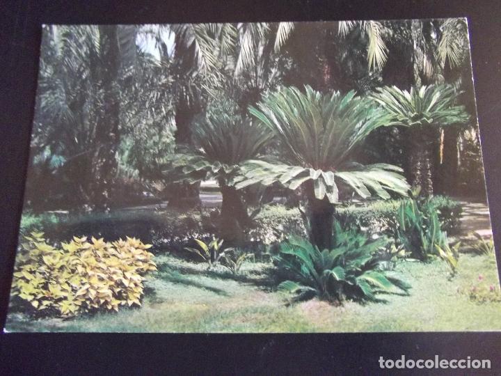 Cartes Postales: ALICANTE-V44- NO ESCRITA-ELCHE-HUERTO DEL CURA