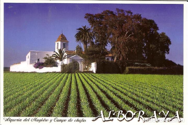 Postales: POSTAL - ALBORAYA - Foto 1