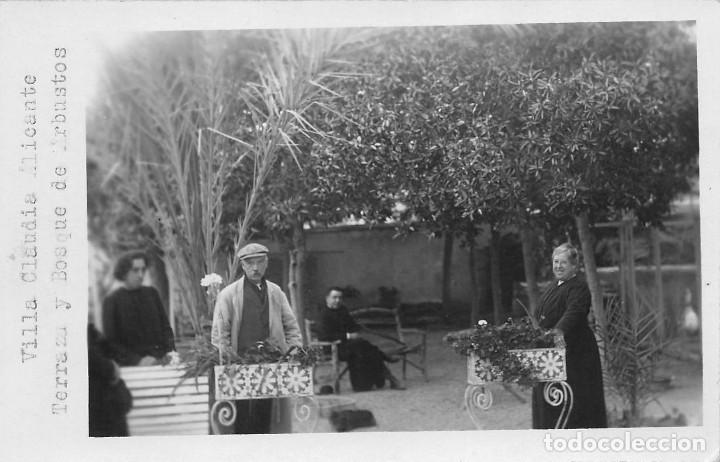 Postkarten: VILLA CLAUDIA-ALICANTE- TERRAZA Y BOSQUE DE ARBUSTOS