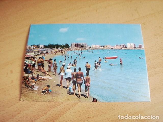 Postkarten: TORREVIEJA ( ALICANTE ) PLAYA DEL ACEQUION