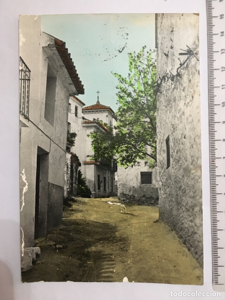 Cartes Postales: POSTAL. BENAFER. CASTELL&Oacute;N. Vista parcial. Exclusivas VICENTE ESTAL. H. 1960?