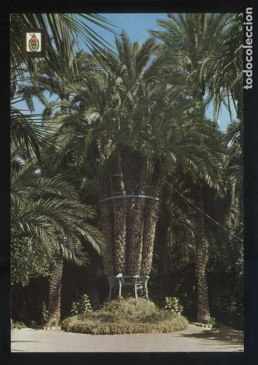 Postais: Alicante. Elx. Ed. Fisa n&ordm; 48. Nueva.