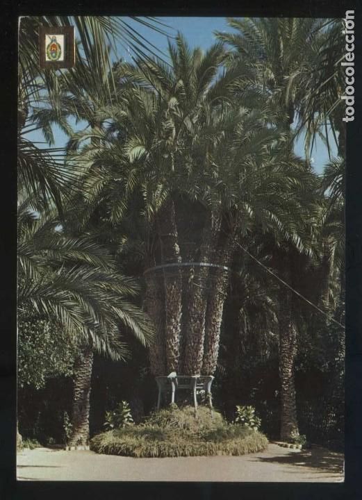 Postais: Alicante. Elx. Ed. Fisa n&ordm; 48. Circulada.