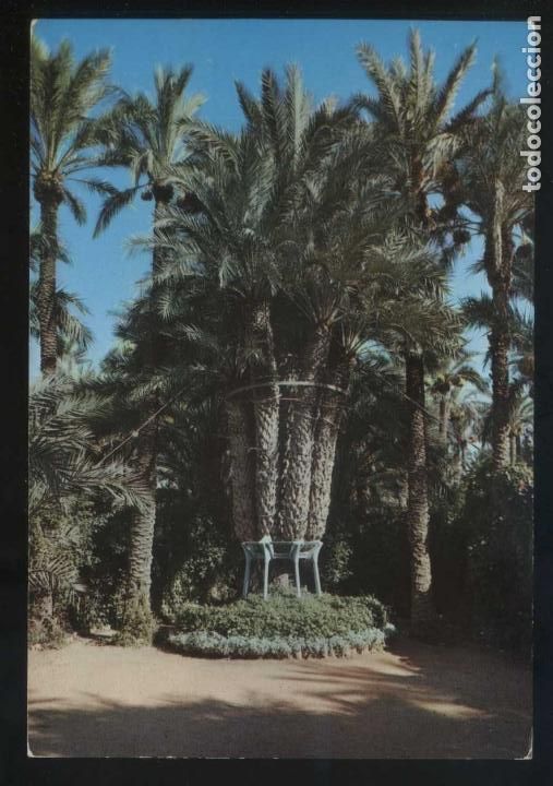 Postkarten: Alicante. Elx. Ed. Zerkowitz serie 33, n&ordm; 6. Nueva.