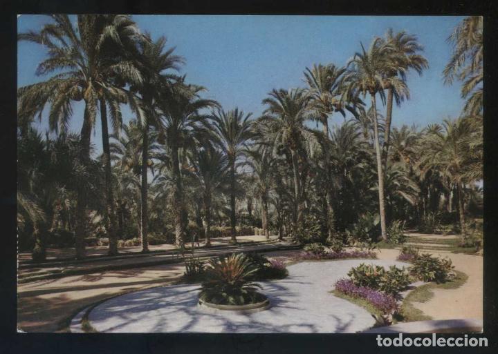 Postkarten: Alicante. Elx. Ed. Zerkowitz serie 33, n&ordm; 4. Nueva.
