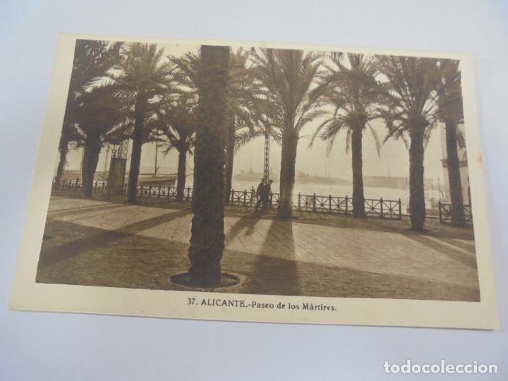 Postcards: TARJETA POSTAL. ALICANTE. PASEO DE LOS MARTIRES. 37. L.ROISIN