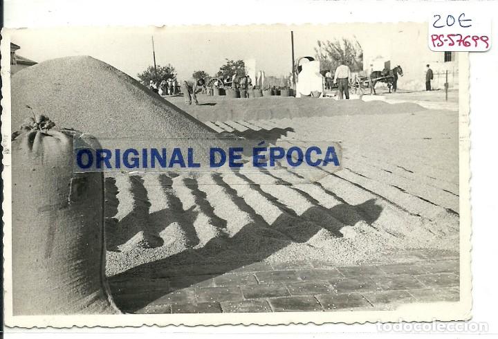 Postcards: (PS-57699)POSTAL DE SUECA-TAREAS AGRICOLAS