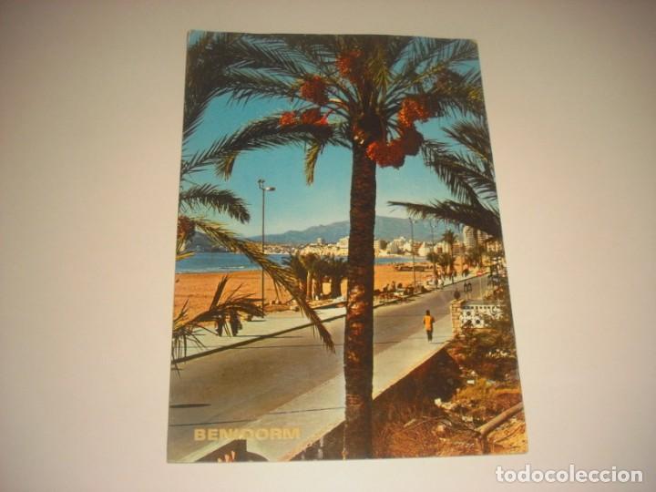 Postales: BENIDORM 767 , SIN CIRCULAR. - Foto 1