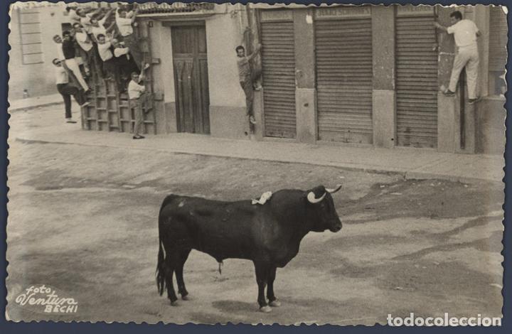 Postales: BECHI - Foto 1