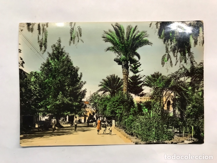 Postcards: NOVELDA (Alicante) Postal animada No.1012, Glorieta del Generalisimo. Edita: Ed. Arribas (a.1962)