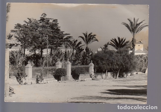 Postkarten: GUARDAMAR DEL SEGURA (ALICANTE).- VIVERO CENTRAL