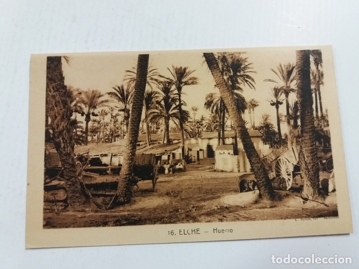 Postcards: ELCHE-HUERTO-16-ROISIN-VER FOTOS-(60.914)