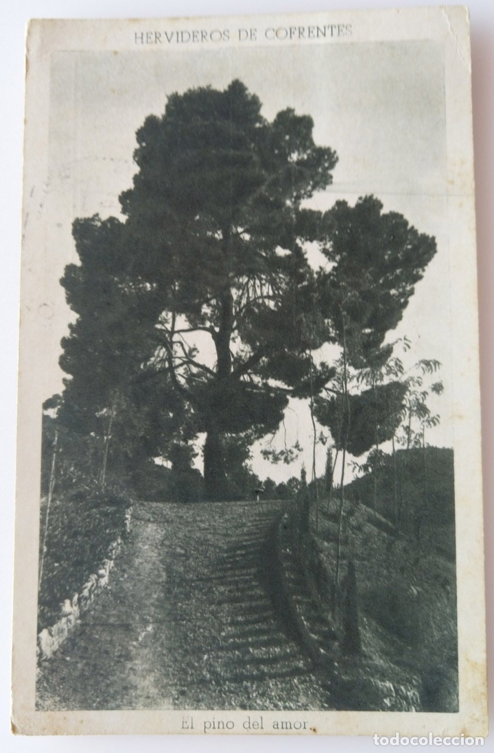 Postales: COFRENTES - Foto 1