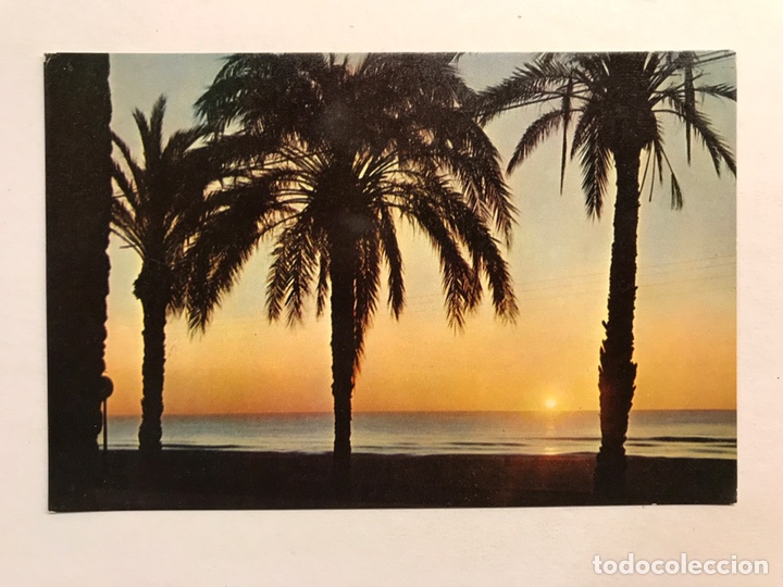 Postkarten: ALICANTE. Postal No.4126, Amanecer. Edita: Ed. &Aacute;gata (h.1960?) Sin Circular